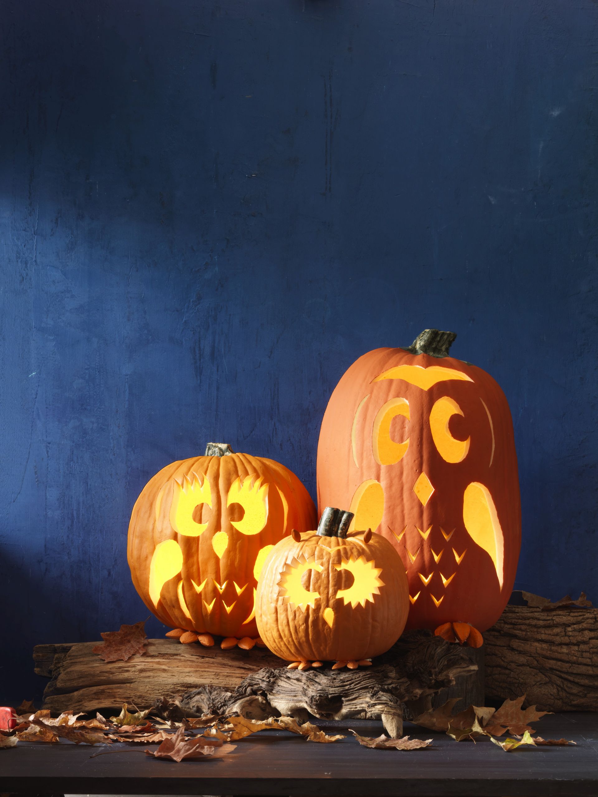 Halloween Carvings Ideas
 45 Best Pumpkin Carving Ideas Halloween 2016 Creative