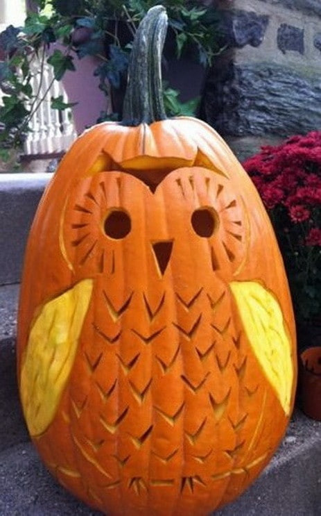 Halloween Carvings Ideas
 38 Halloween Pumpkin Carving Ideas & How To Carve