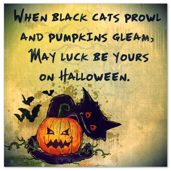 Halloween Funny Quote
 40 Funny Halloween Quotes Scary Messages and Free Cards