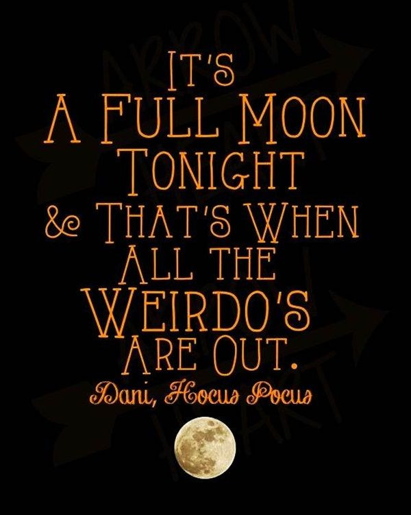 Halloween Funny Quote
 22 best Halloween Quotes images on Pinterest