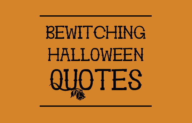 Halloween Funny Quote
 Bewitching Halloween Quotes to you in the Spirit of Things