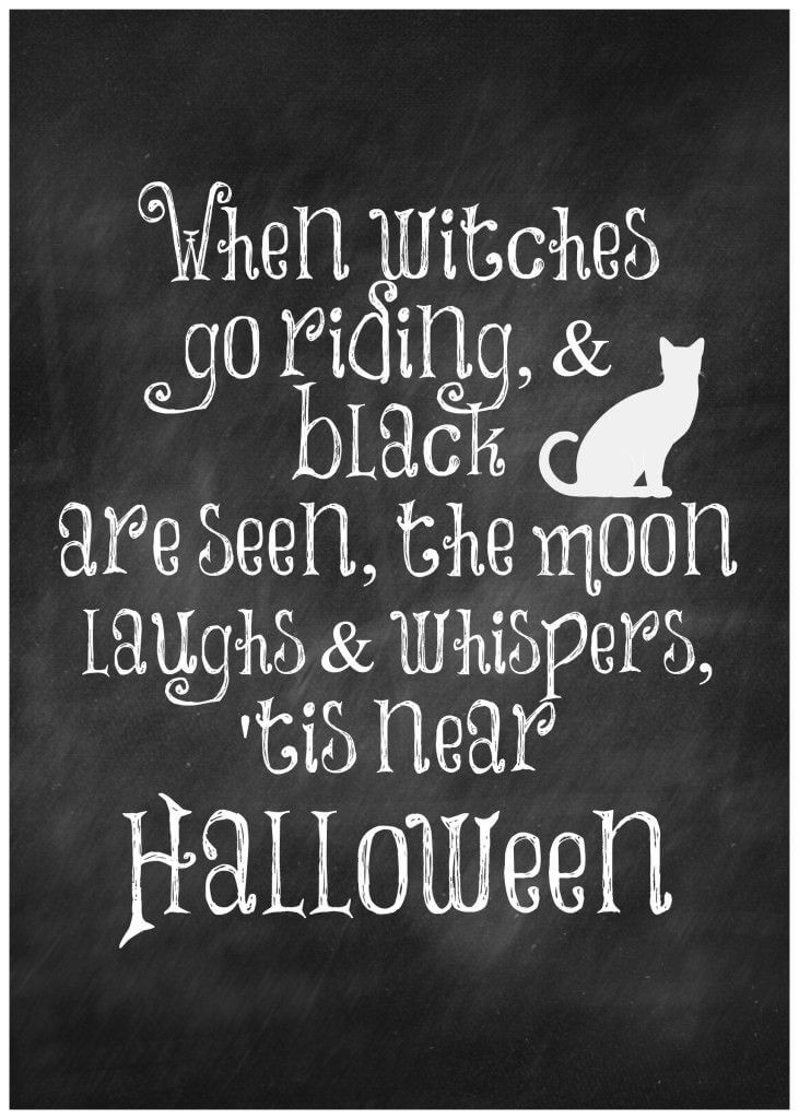 Halloween Funny Quote
 Happy Halloween Quotes funny Halloween quotes