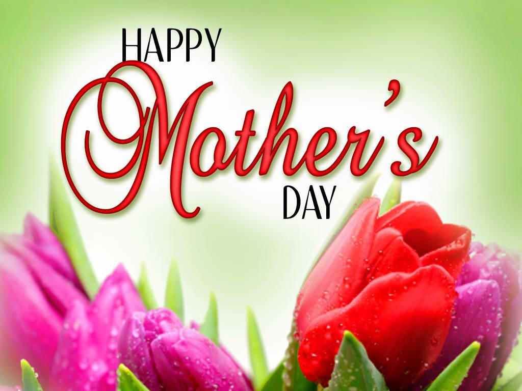 Happy Mother's Day Quotes
 Happy Mothers Day Quotes QuotesGram