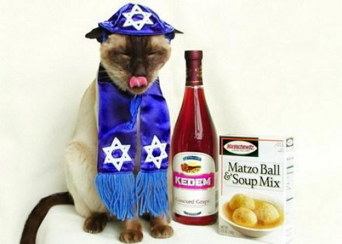 Kosher For Passover Cat Food
 Easter and Passover 5 Holiday Pet Tips Dog Cat and