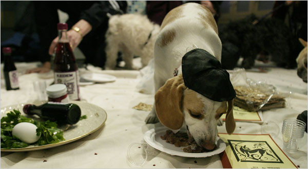 Kosher For Passover Dog Food
 Seder Fare for Pets That Keep Kosher The New York Times