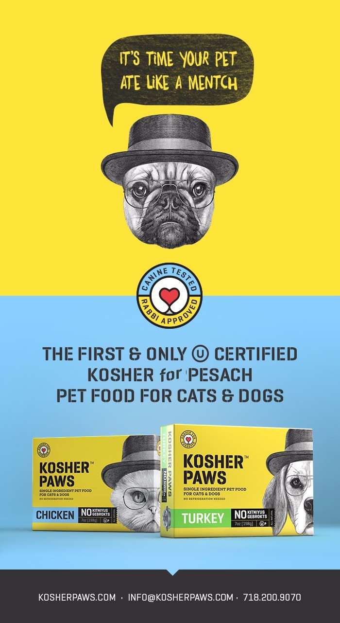 Kosher For Passover Dog Food
 Kosher For Passover Pet Food KosherGuru Bringing