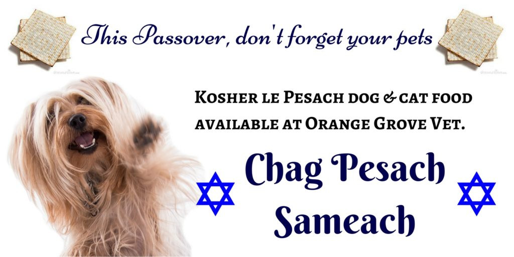 Kosher For Passover Dog Food
 Which pet food ts are Beth Din approved during Passover