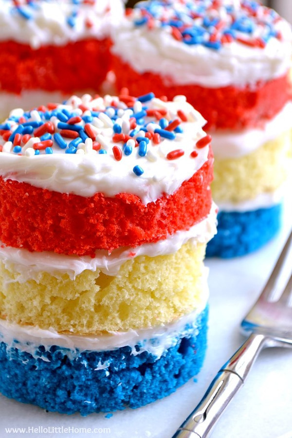 Labor Day Cake Ideas
 23 Perfect Labor Day Party Ideas Pretty My Party Party