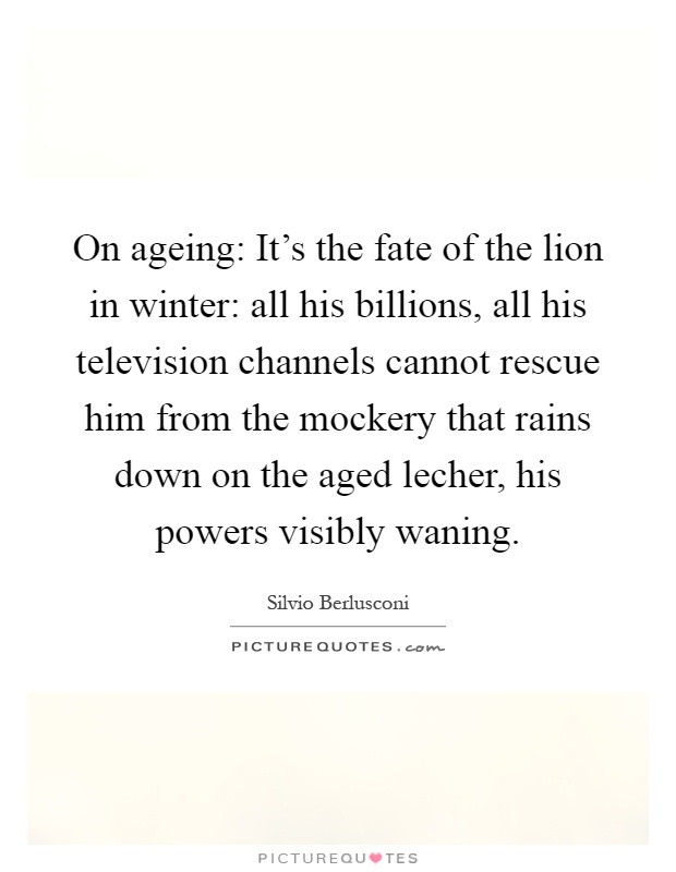 Lion In Winter Quotes
 Lion Quotes Lion Sayings