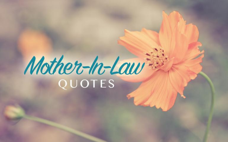 Mother In Law Mothers Day Quotes
 Mother In Law Quotes Nice QuotesGram