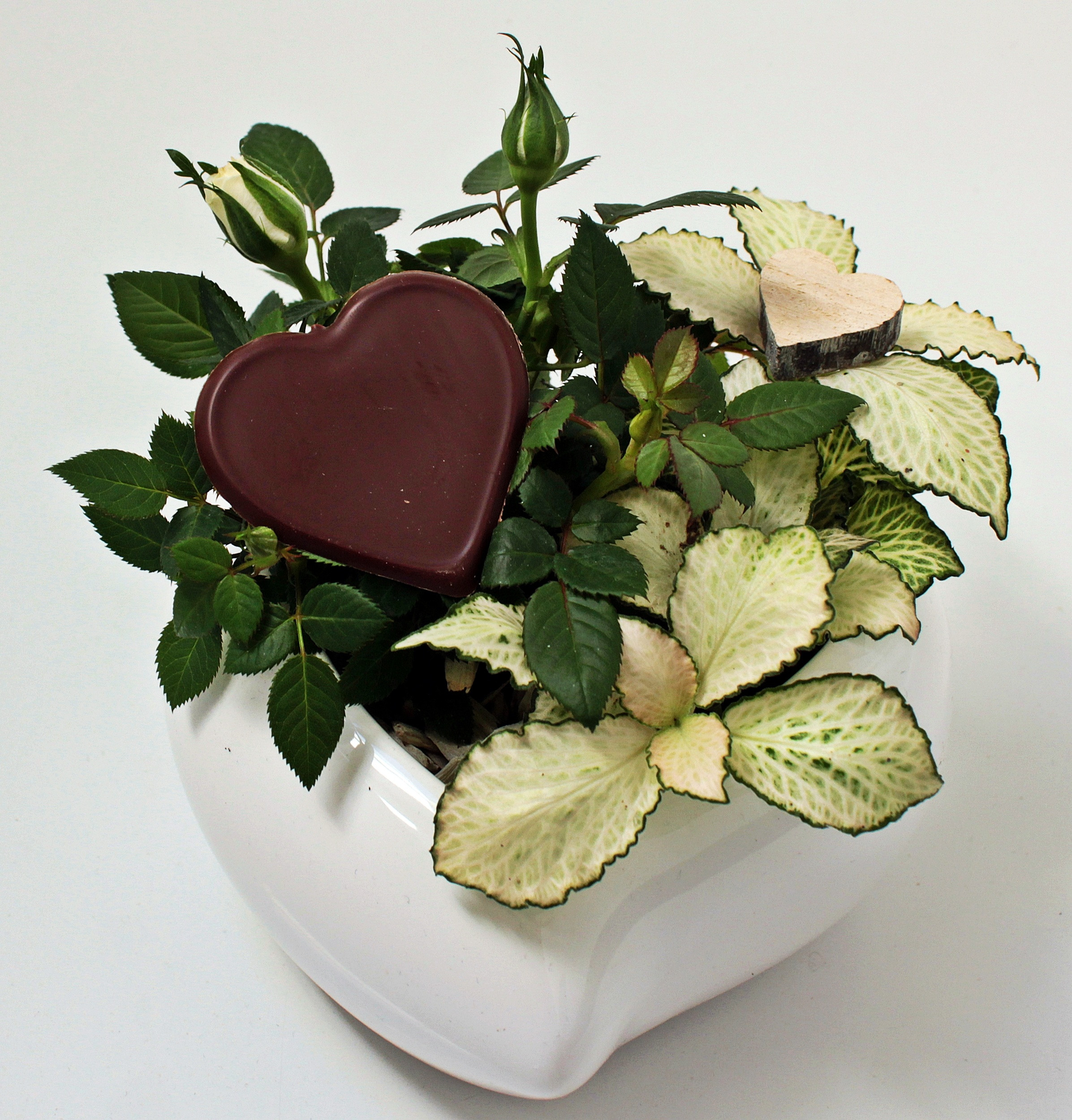 Mother's Day Recipe
 Free photo Mother s Day Bouquet Celebrate Choc Free