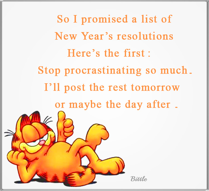 New Year Resolution Quotes Funny
 C H E Z V I E S
