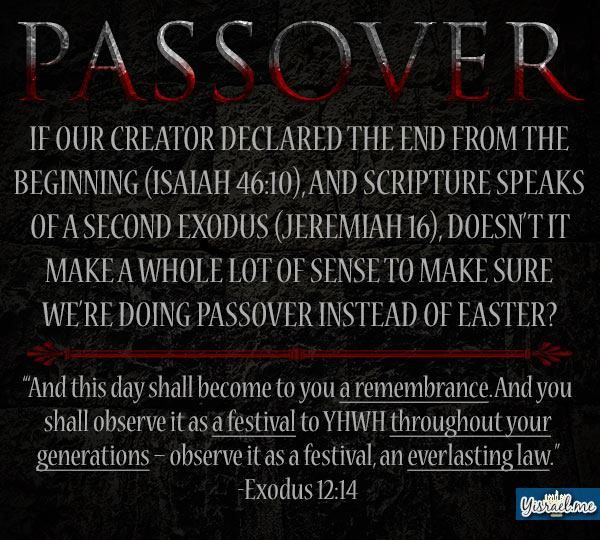 Passover Quotes
 17 Best images about Passover on Pinterest