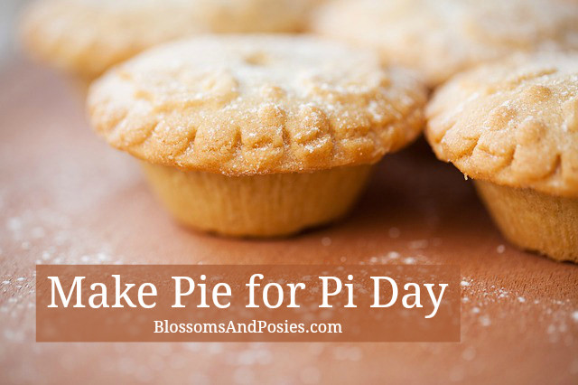 Pie Ideas For Pi Day
 Pi Day pie ideas blossomsandposies
