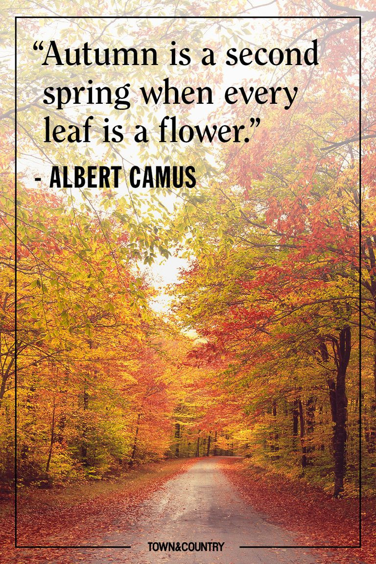 Quotes About The Fall
 12 Inspiring Fall Quotes Best Quotes and Sayings About