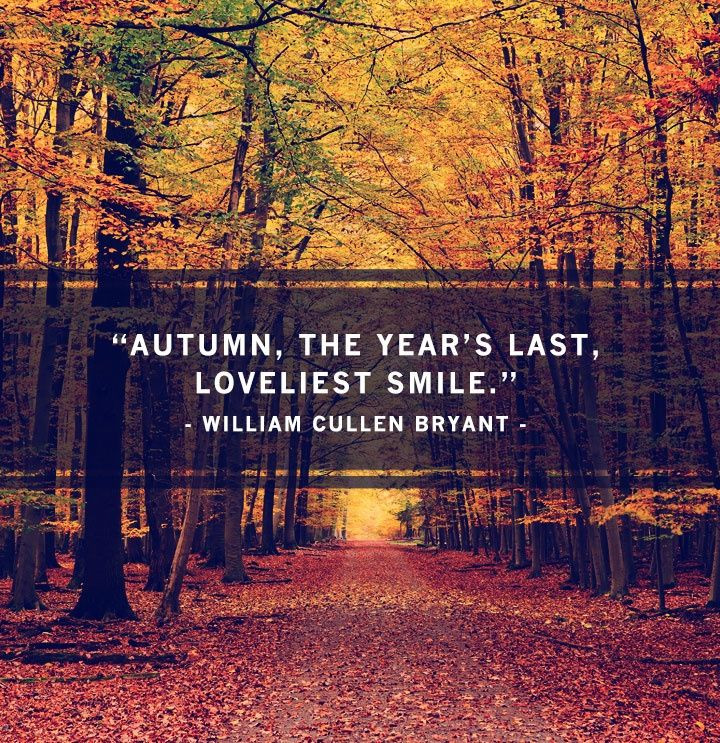 Quotes About The Fall
 Funny Fall Quotes Autumn QuotesGram
