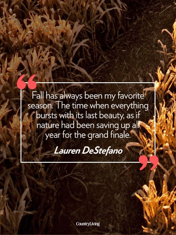 Quotes About The Fall
 All Things Audry "Fall" in love with Autumn Ten Quotes