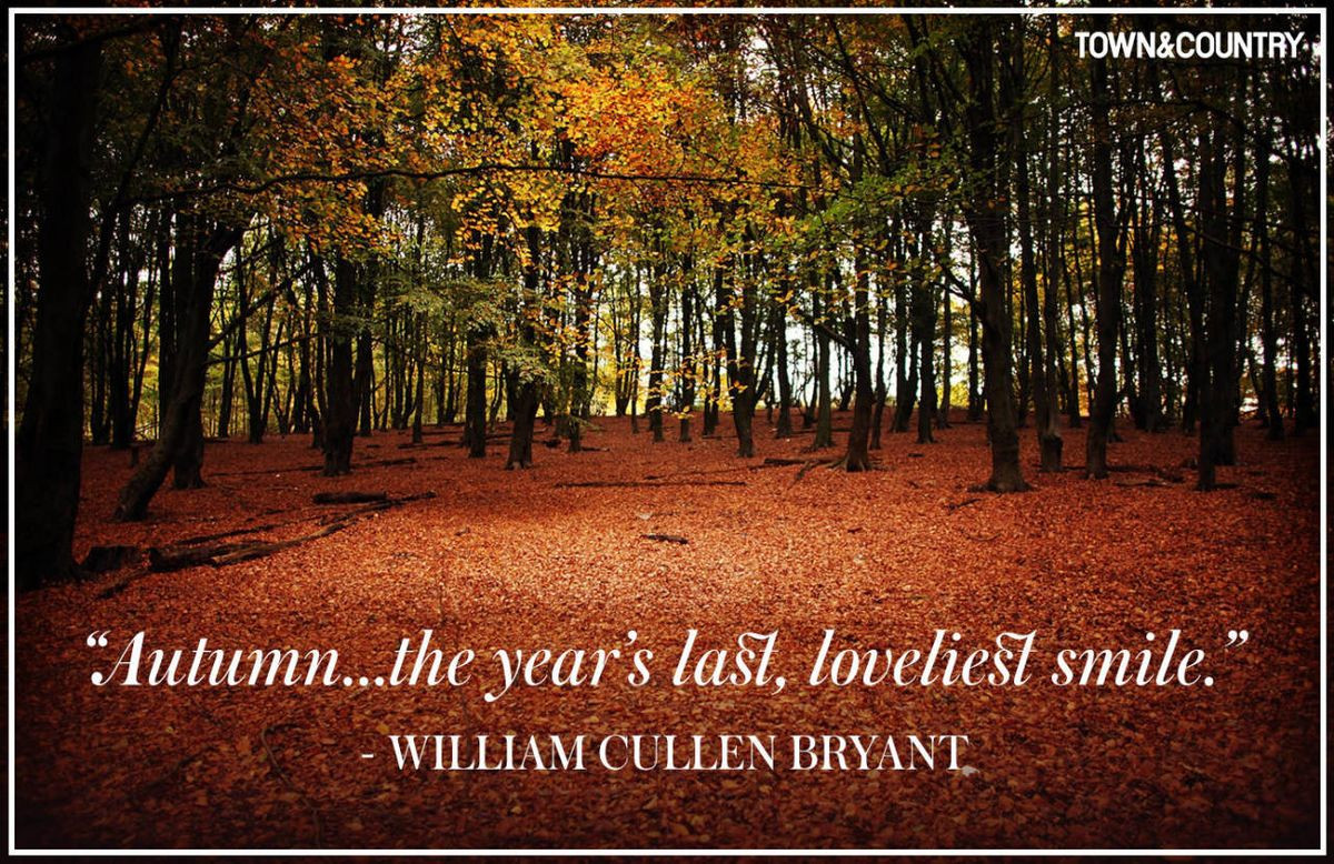 Quotes For Autumn
 12 Inspiring Fall Quotes Best Quotes & Sayings About Autumn