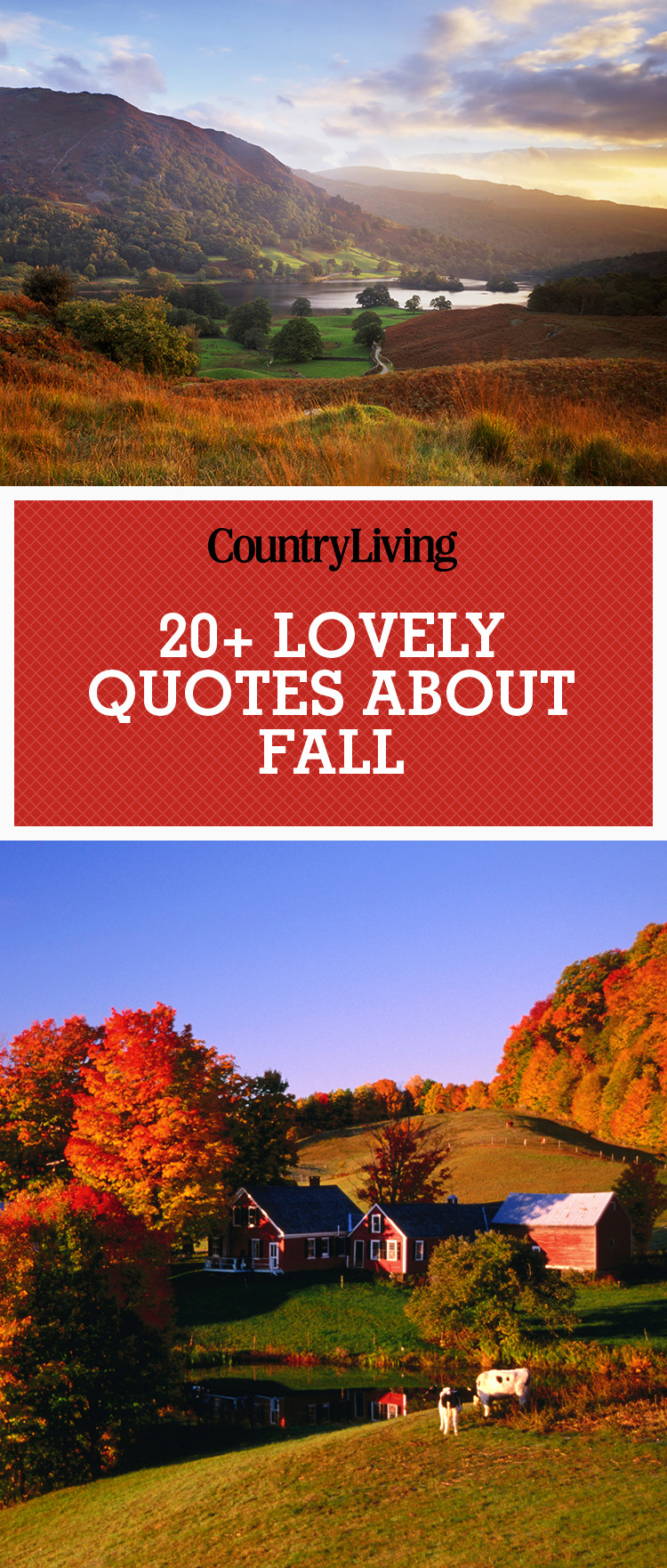 Quotes For Autumn
 25 Fall Season Quotes Best Sayings About Autumn