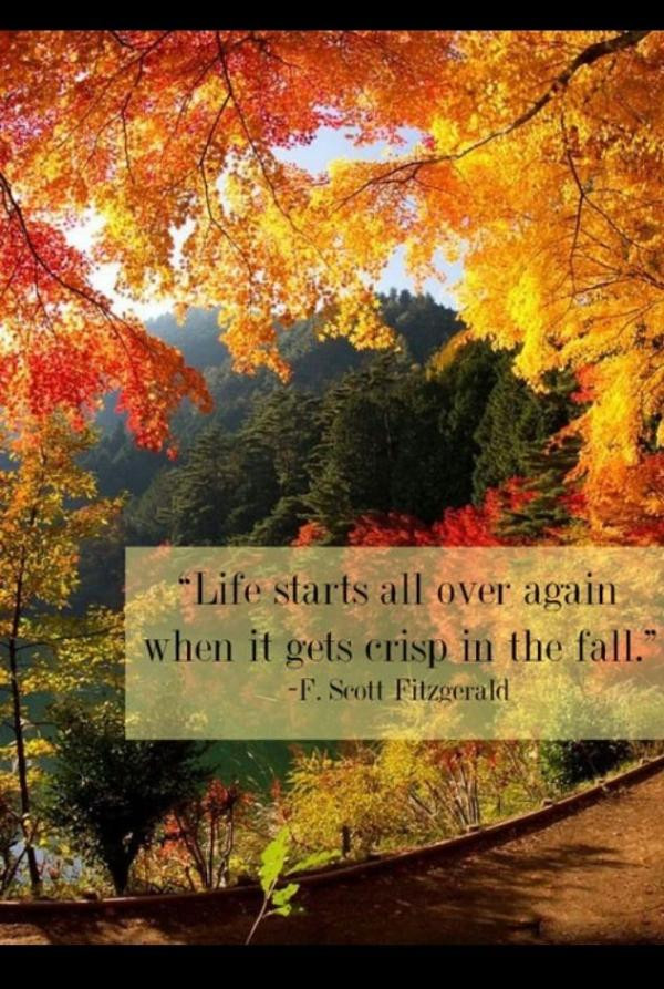 Quotes For Autumn
 Fall Quotes Autumn QuotesGram