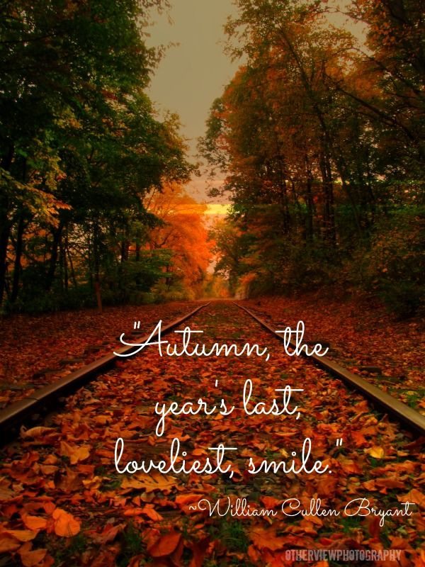 Quotes For Autumn
 "Autumn the year s last loveliest smile " William