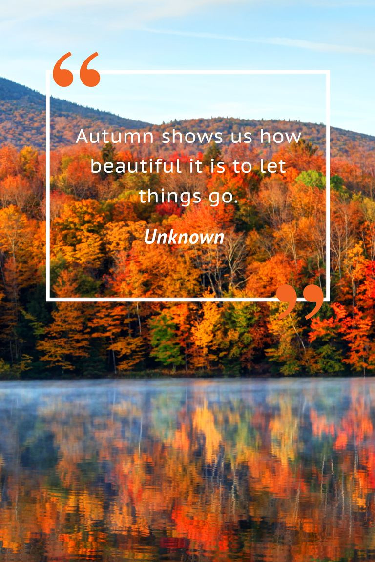 Quotes For Autumn
 25 Fall Season Quotes Best Sayings About Autumn