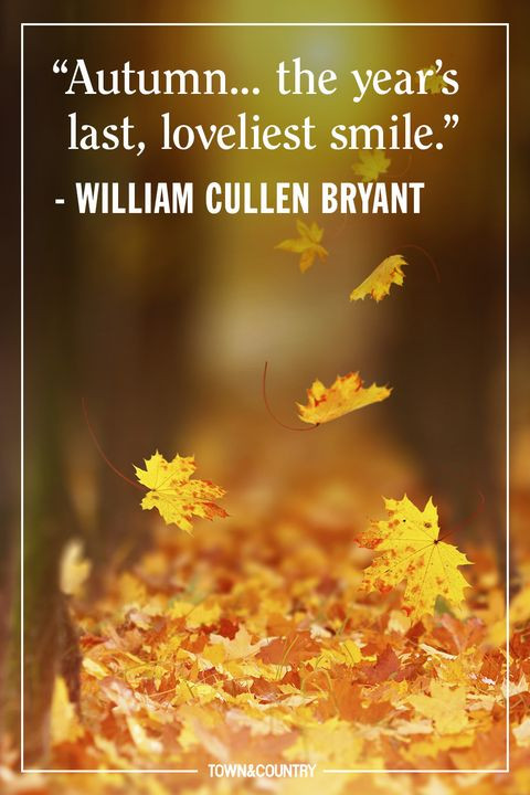 Quotes For Autumn
 15 Inspiring Fall Quotes Best Quotes and Sayings About
