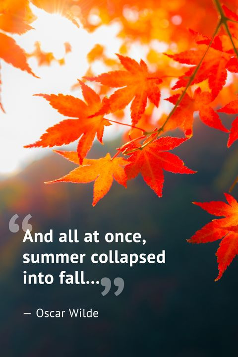 Quotes For Autumn
 10 Beautiful Fall Quotes Best Sayings About Autumn