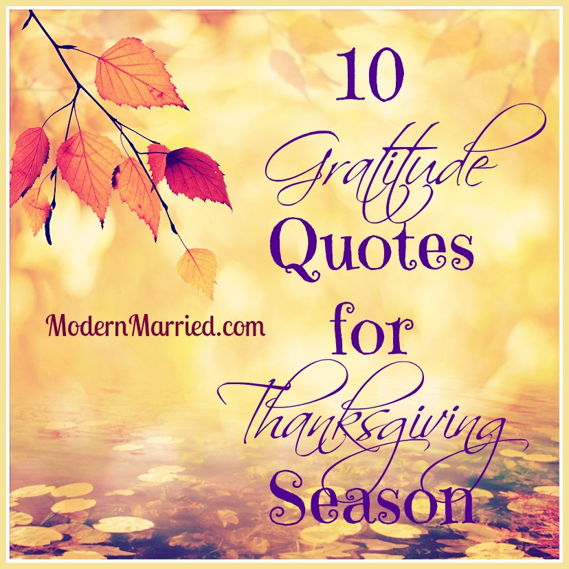 Quotes On Thanksgiving And Gratitude
 10 Gratitude Quotes for Thanksgiving Season