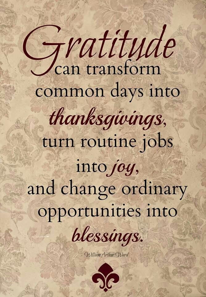 Quotes On Thanksgiving And Gratitude
 Love And Gratitude Quotes QuotesGram