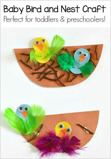 Spring Ideas For Babies
 Spring Crafts for Kids Nest and Baby Bird Craft