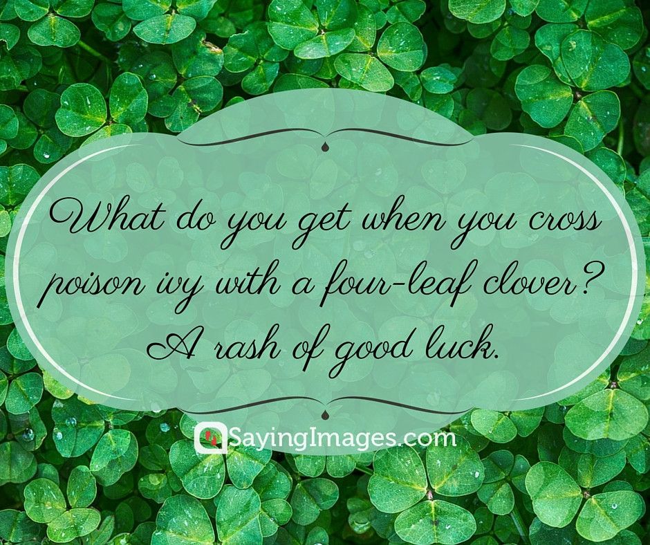 St Patrick's Day Jokes Quotes
 Happy St Patrick s Day Quotes & Sayings