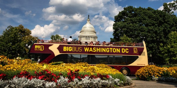 Summer Activities Dc
 Washington DC Family Vacation Ideas Attractions