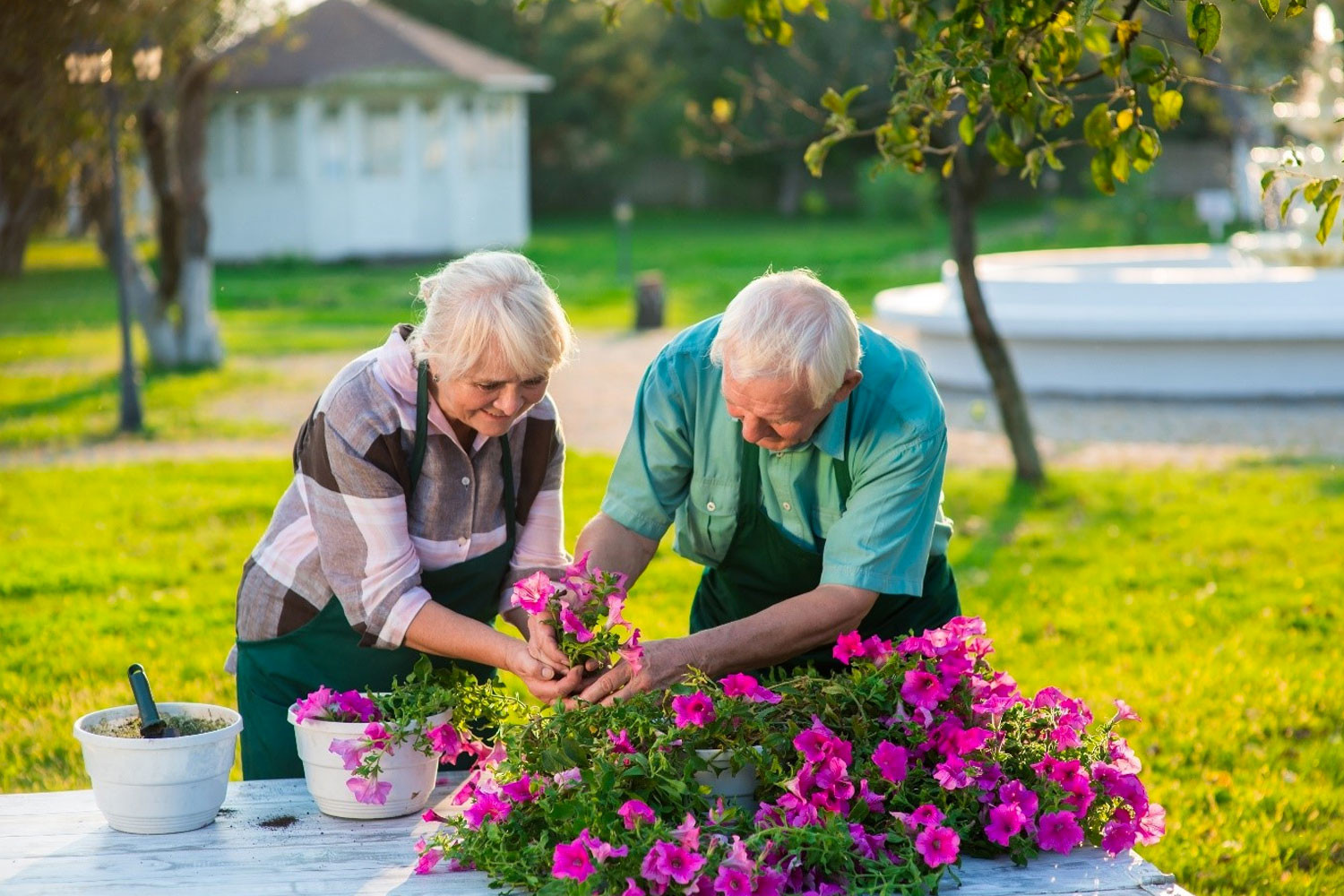 Summer Activities For Adults
 Outdoor and Indoor Summer Activities for Older Adults