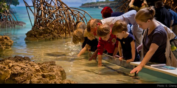 Summer Activities In New England
 Boston Family Vacation Ideas Attractions Activities