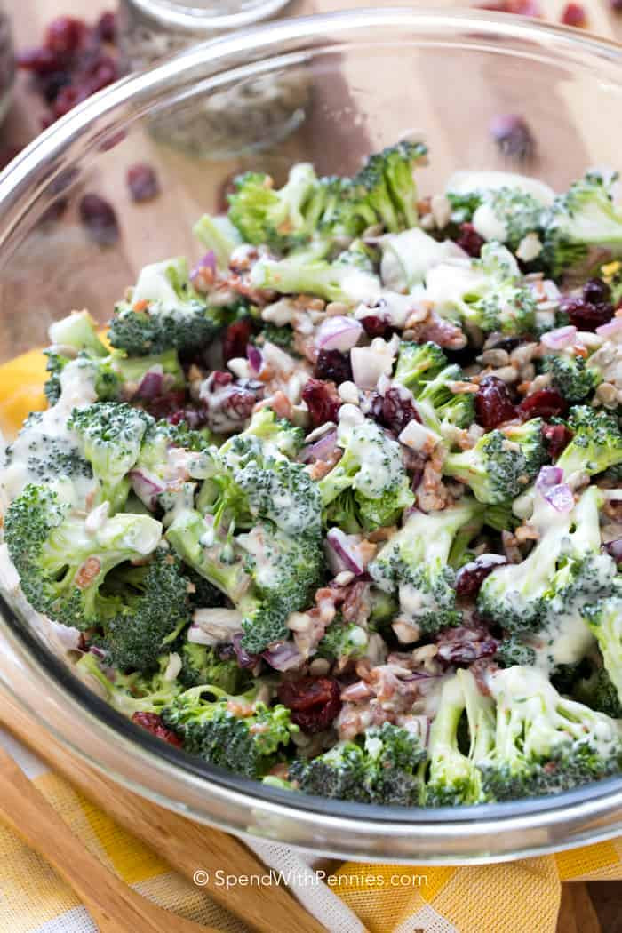 Summer Broccoli Recipe
 Broccoli Salad Spend With Pennies