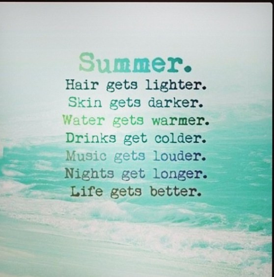 Summer Days Quote
 FUNNY HOT SUMMER DAY QUOTES image quotes at relatably