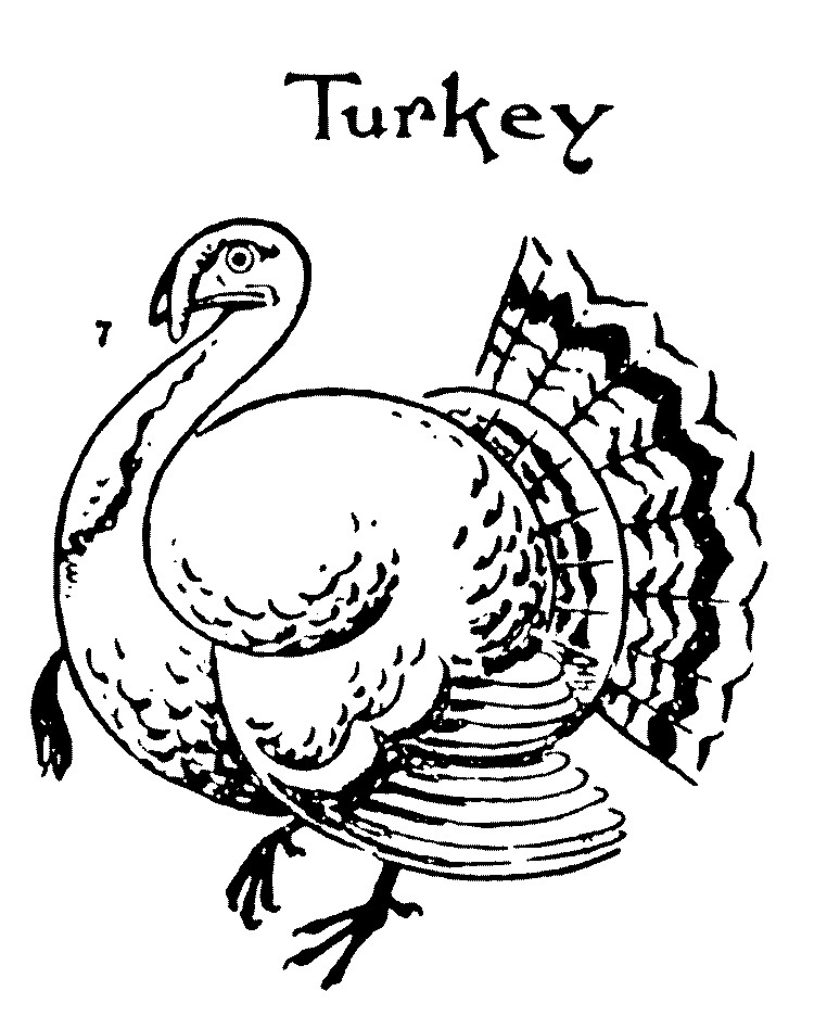 Thanksgiving Drawing Ideas
 How to draw a Turkey step by step Kids drawing ideas