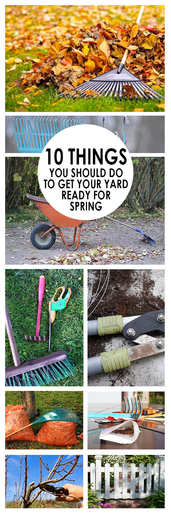 Things To Do In Spring Ideas
 Landscaping – Bees and Roses