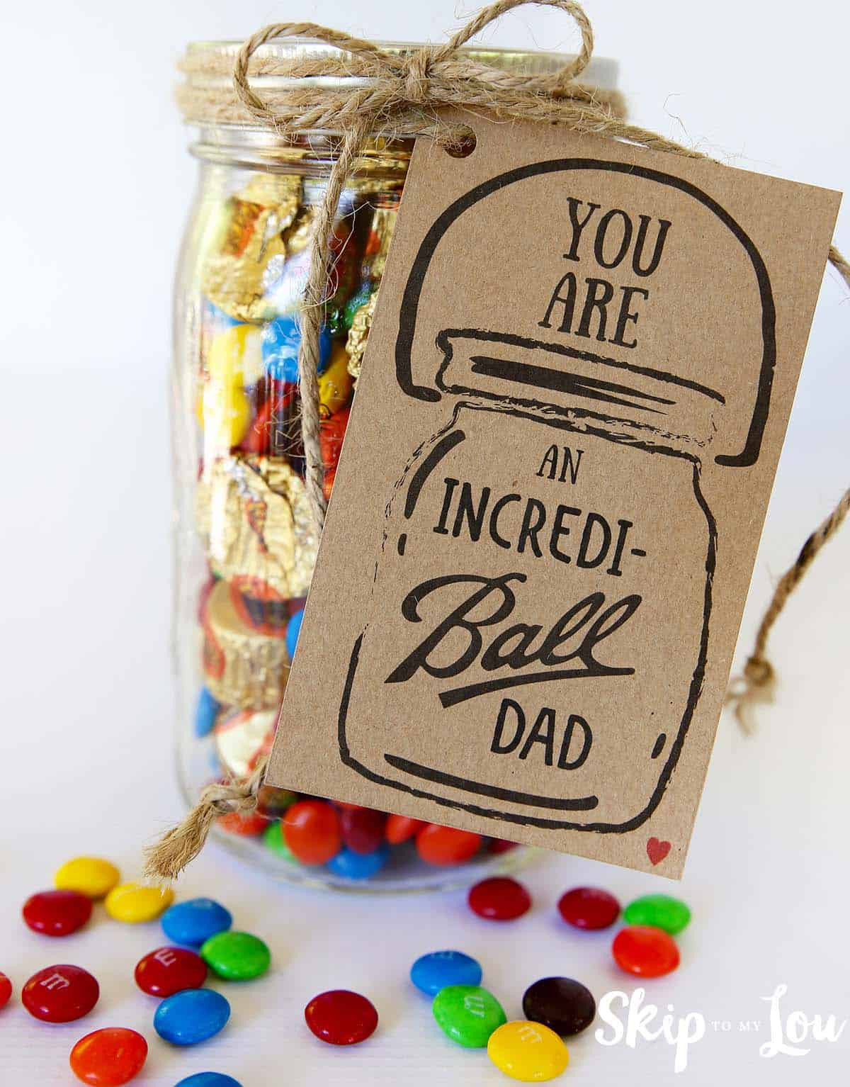 Valentines Day Gifts For Daddy
 Incredi ball Father s Day Gift Idea