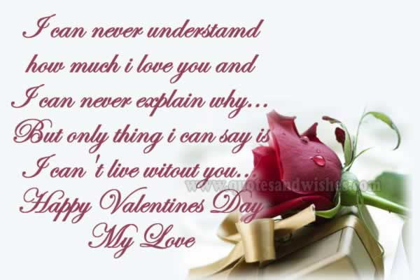 Valentines Day Quotes For My Wife
 Valentines Day 2017 Messages for girlfriends wives