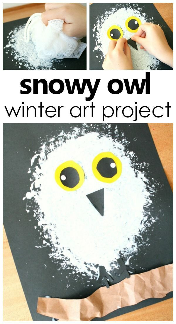 Winter Animals Preschool Crafts
 Snowy Owl Winter Craft for Kids