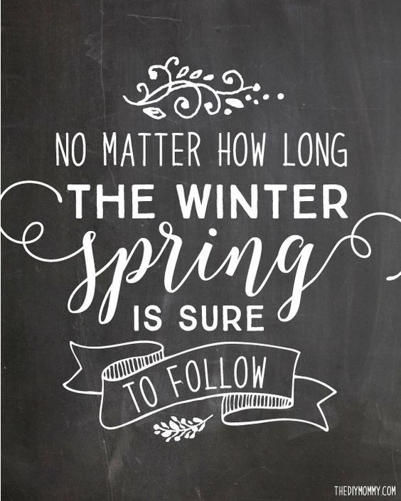 Winter Chalkboard Ideas
 5 Ways to Spring Up Your Home Decor